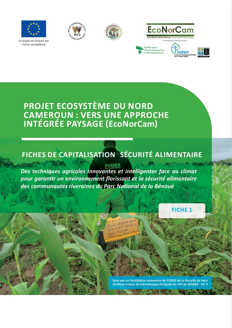 Lire la suite à propos de l’article FICHES DE CAPITALISATION SÉCURITÉ ALIMENTAIRE Des techniques agricoles innovantes et intelligentes face au climatpour garantir un environnement florissant et la sécurité alimentairedes communautés riveraines du Parc National de la Bénoué