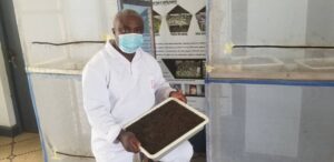 Lire la suite à propos de l’article Révolutionner l’agriculture avec BioNBiochar : Une solution durable pour la production de maïs