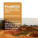 Etude sur la cartographiedes déficits d’intégritédans la chaine de valeur minière au cameroun