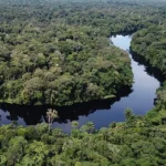 Cameroon Webinar Series – The National Coordination Group for Key Biodiversity Areas (NCG-KBA)
