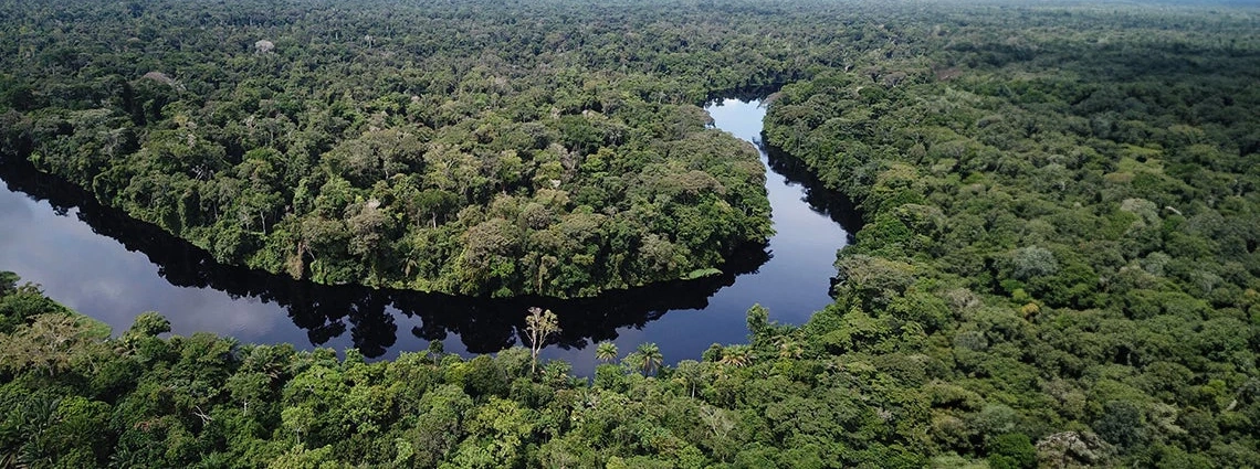 Lire la suite à propos de l’article Cameroon Webinar Series – The National Coordination Group for Key Biodiversity Areas (NCG-KBA)