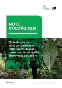 Lire la suite à propos de l’article Chute des prix du cacao au Cameroun et RDUE : Nécessité d’une restructuration du modèle économique de la filière