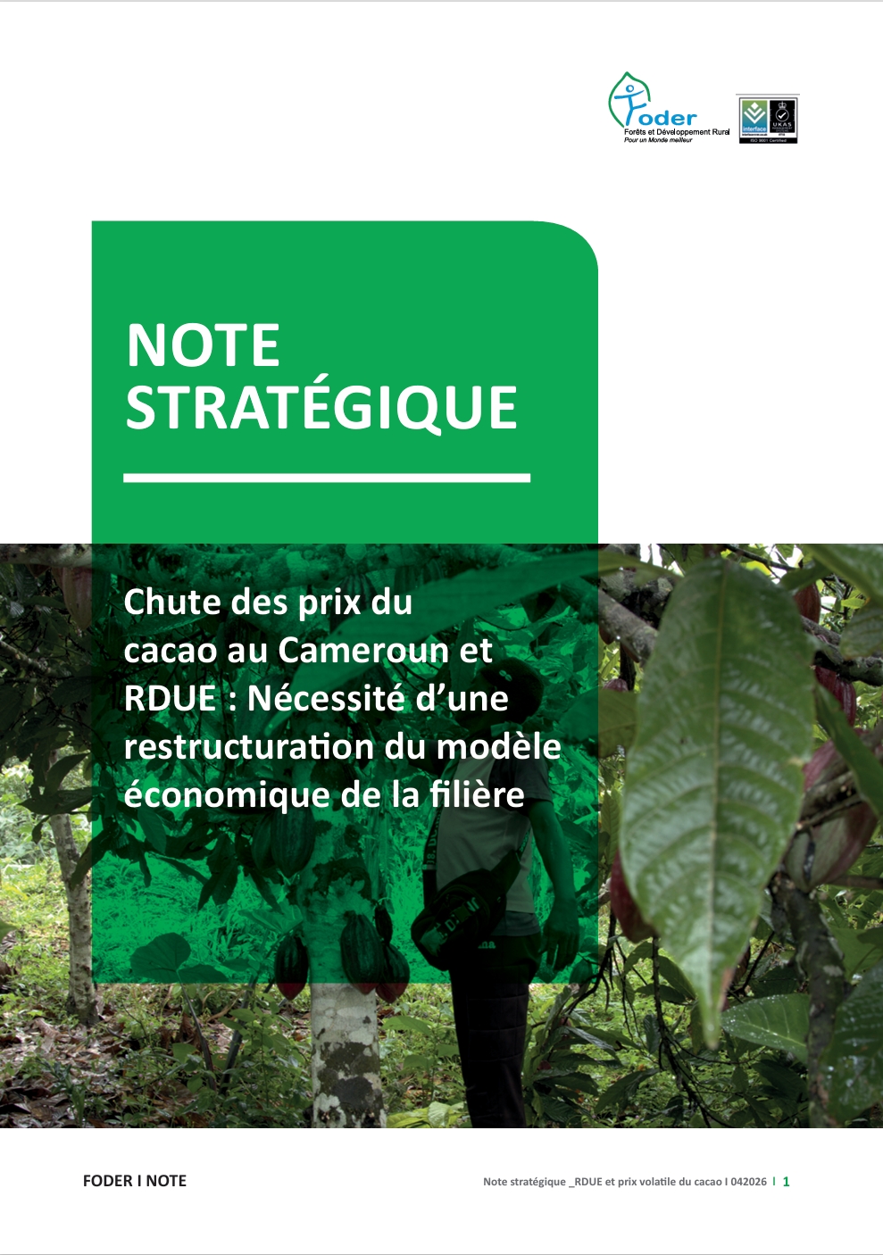 Lire la suite à propos de l’article Chute des prix du cacao au Cameroun et RDUE : Nécessité d’une restructuration du modèle économique de la filière